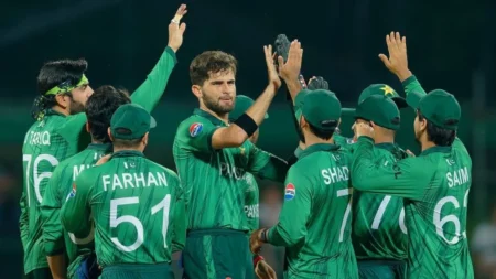 কোয়ার্টার ফাইনালে নামার আগেই পাকিস্তানের সেমিফাইনাল নিশ্চিত